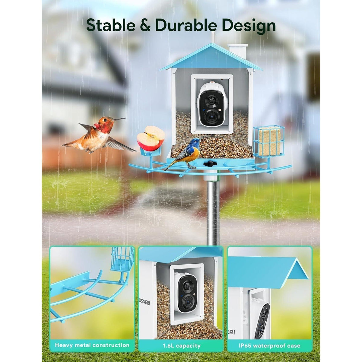 Osoeri OS-BC02 Blue Bird Feeder with Camera, 1080P HD AI Identify Wild Bird
