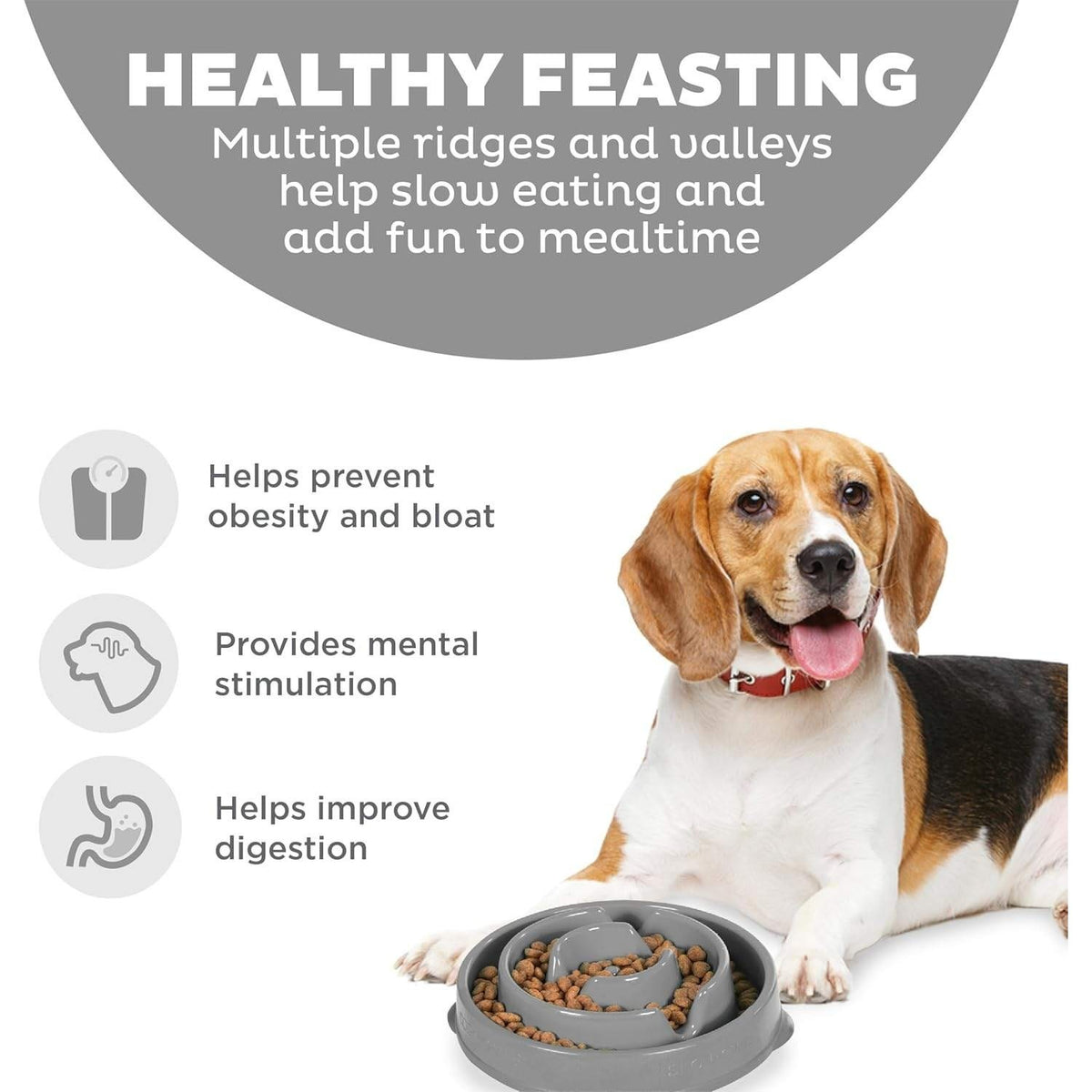 Set of 2 Outward Hound Feeder Slo Bowl Medium Grey 2-Cup & Petmate Food Scoop