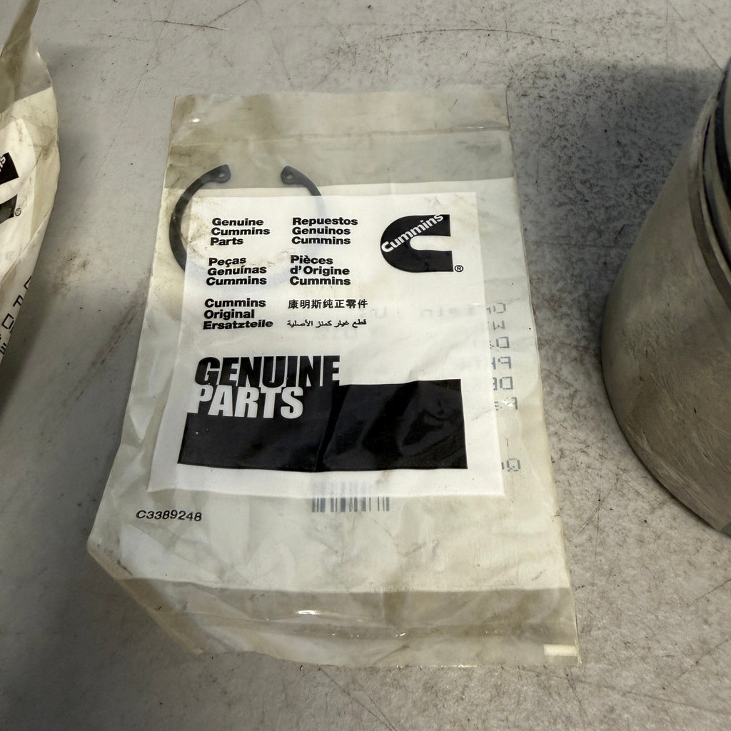 Genuine Cummins 3800781 Engine Piston Kit 5.9L 6BT Heavy Duty