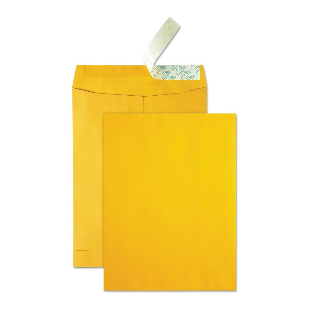 Pack of 250 Quality Park QUA41620 Kraft Catalog Envelopes 10x13" Peel & Seal