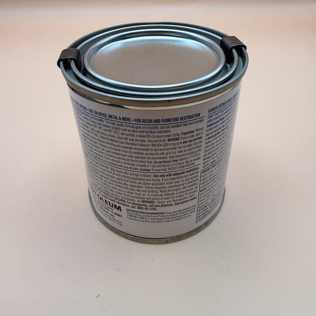 Rust-Oleum 1992730 Painter's Touch Latex Paint, Half Pint, Gloss White 8 oz