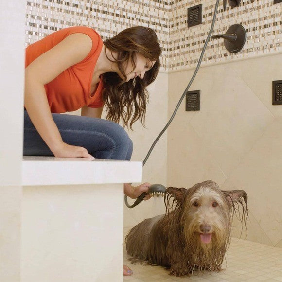 Oxygenics 70862 PawSpa SuperWash Complete Pet Washing Kit