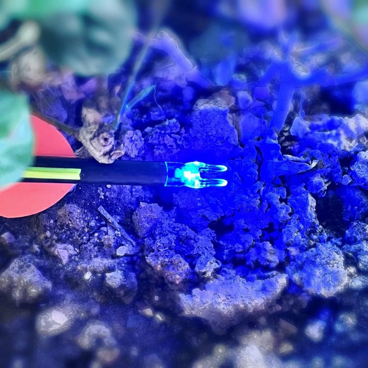 Pack of 6 LED Lighted Nocks for Arrows 0.244"/6.20mm w/ Screwdriver