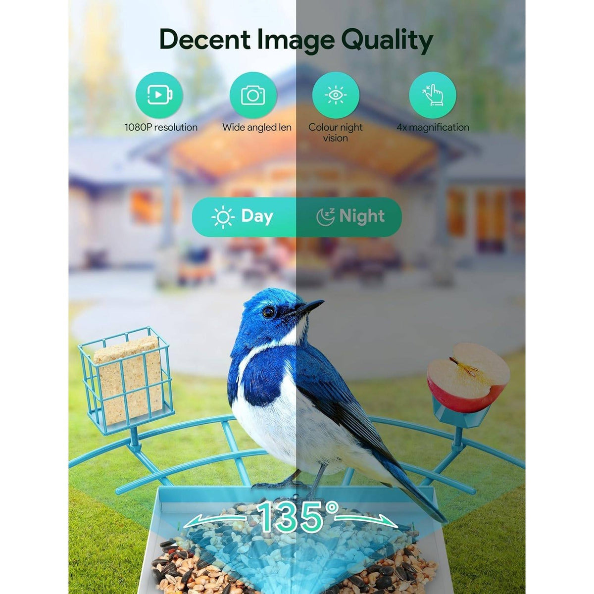 Osoeri OS-BC02 Blue Bird Feeder with Camera, 1080P HD AI Identify Wild Bird