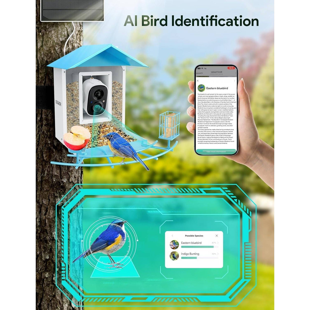 Osoeri OS-BC02 Blue Bird Feeder with Camera, 1080P HD AI Identify Wild Bird