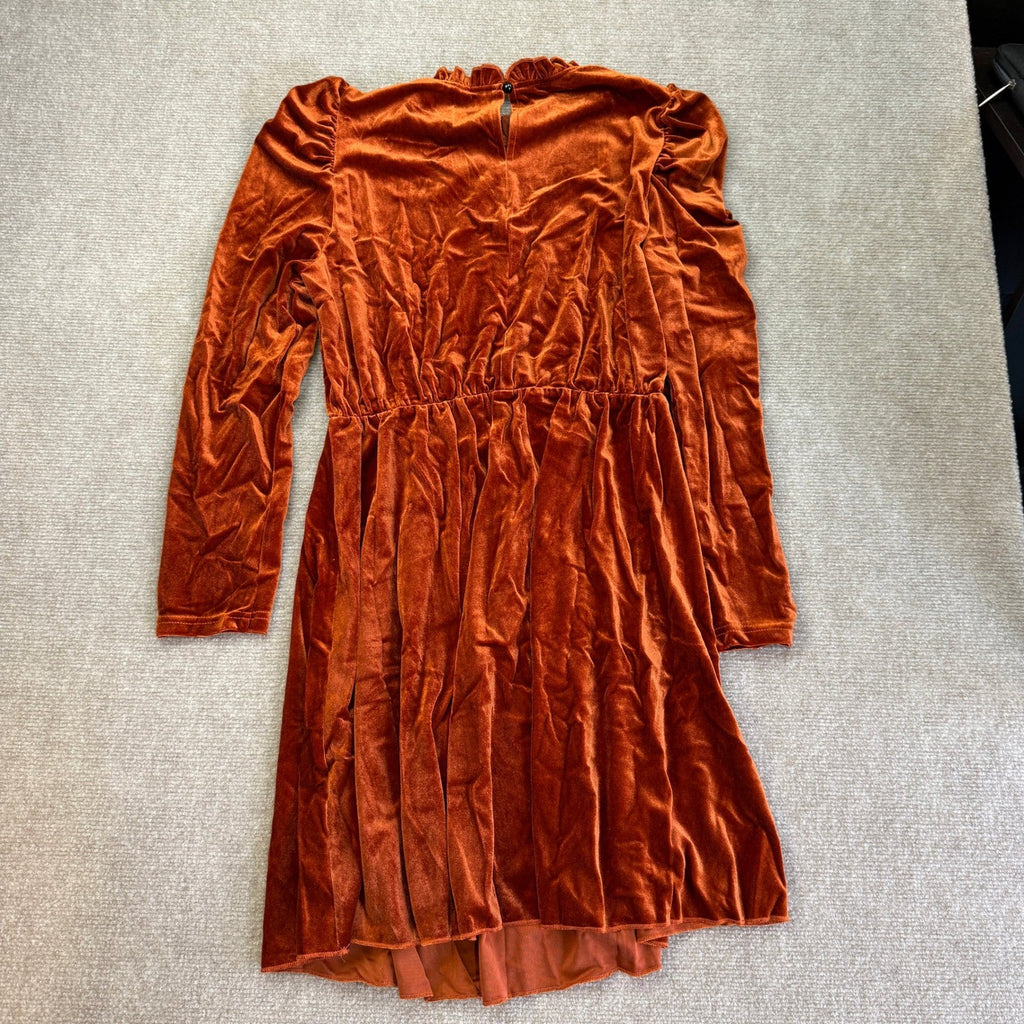 Women's M Chestnut Velvet Mini Dress Long Sleeve Ruffle Neck Pleated Skirt