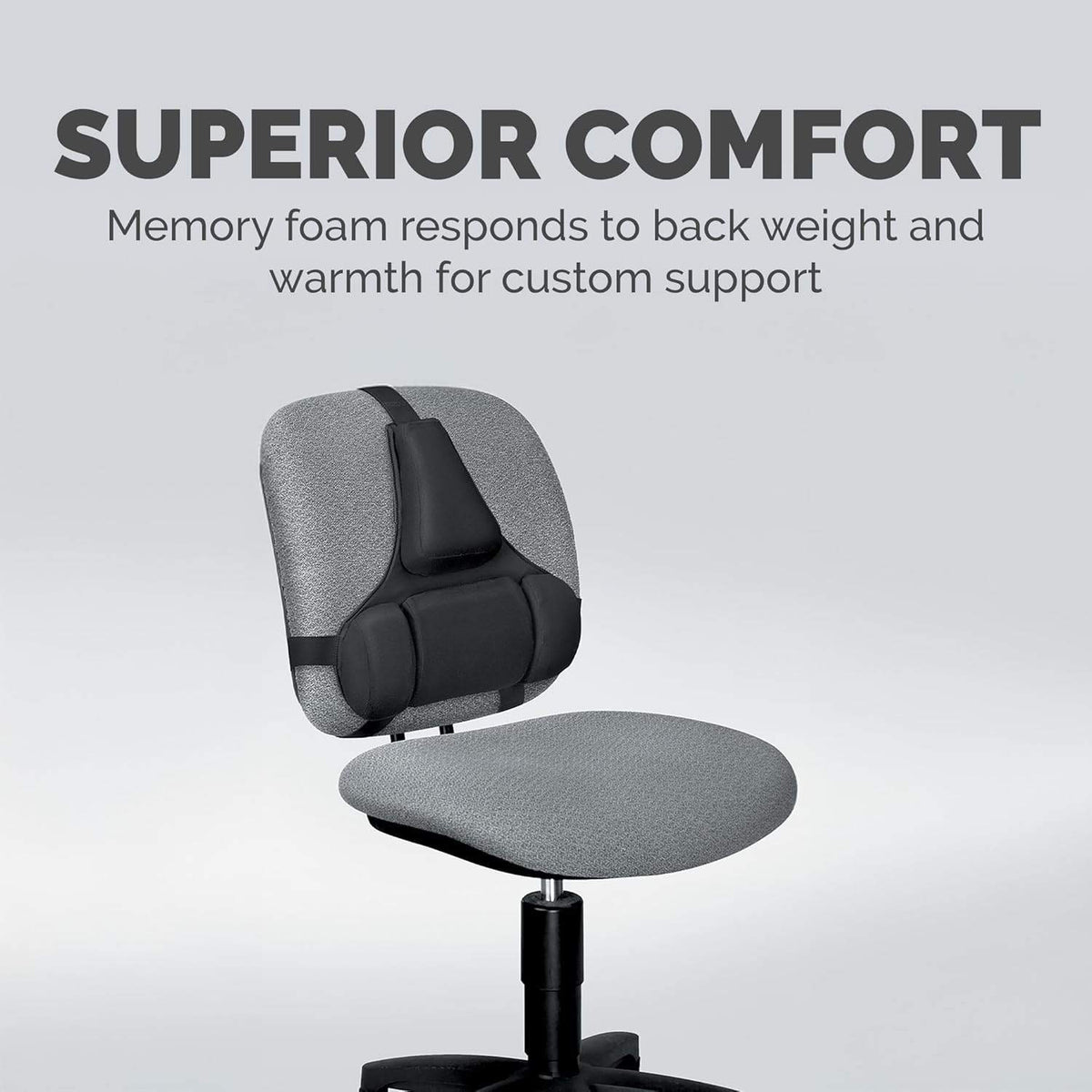 Fellowes 80376 Professional Series Back Support, Black