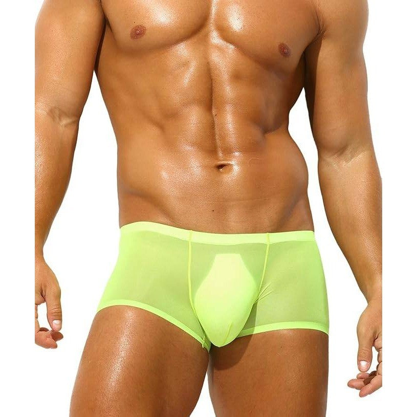 PAIZH Men's XL Sexy See Through Boxer Briefs Sheer Ice Silk Trunks Underwear
