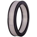 Napa Gold Engine Air Filter 2073