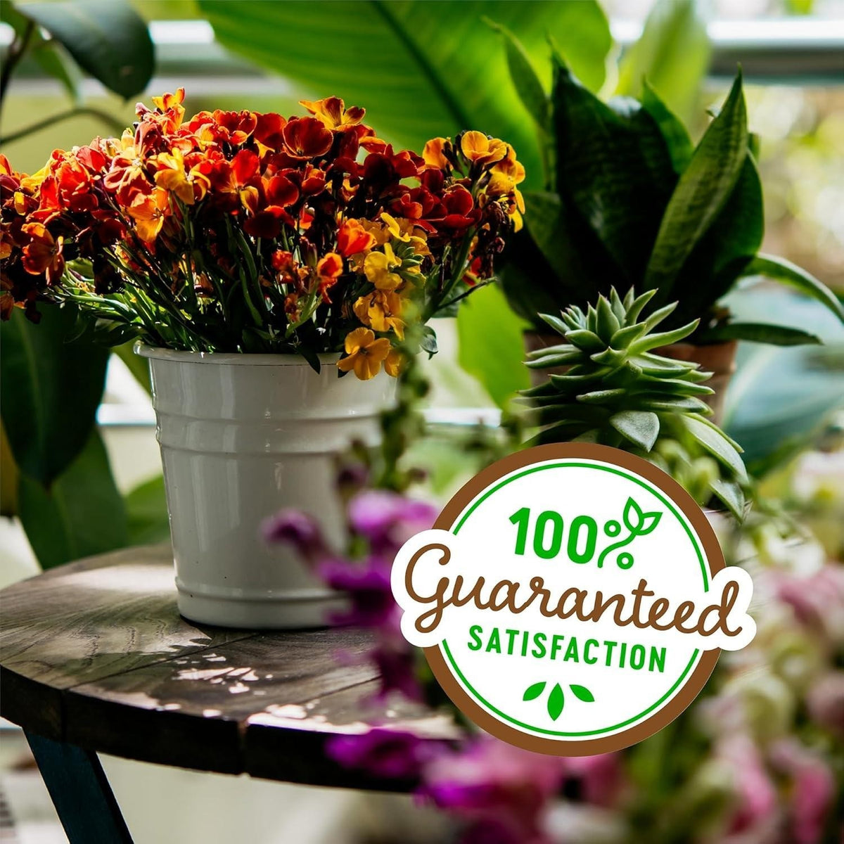 Back to The Roots 100% Organic Perlite 8qt for Indoor and Outdoor Plants