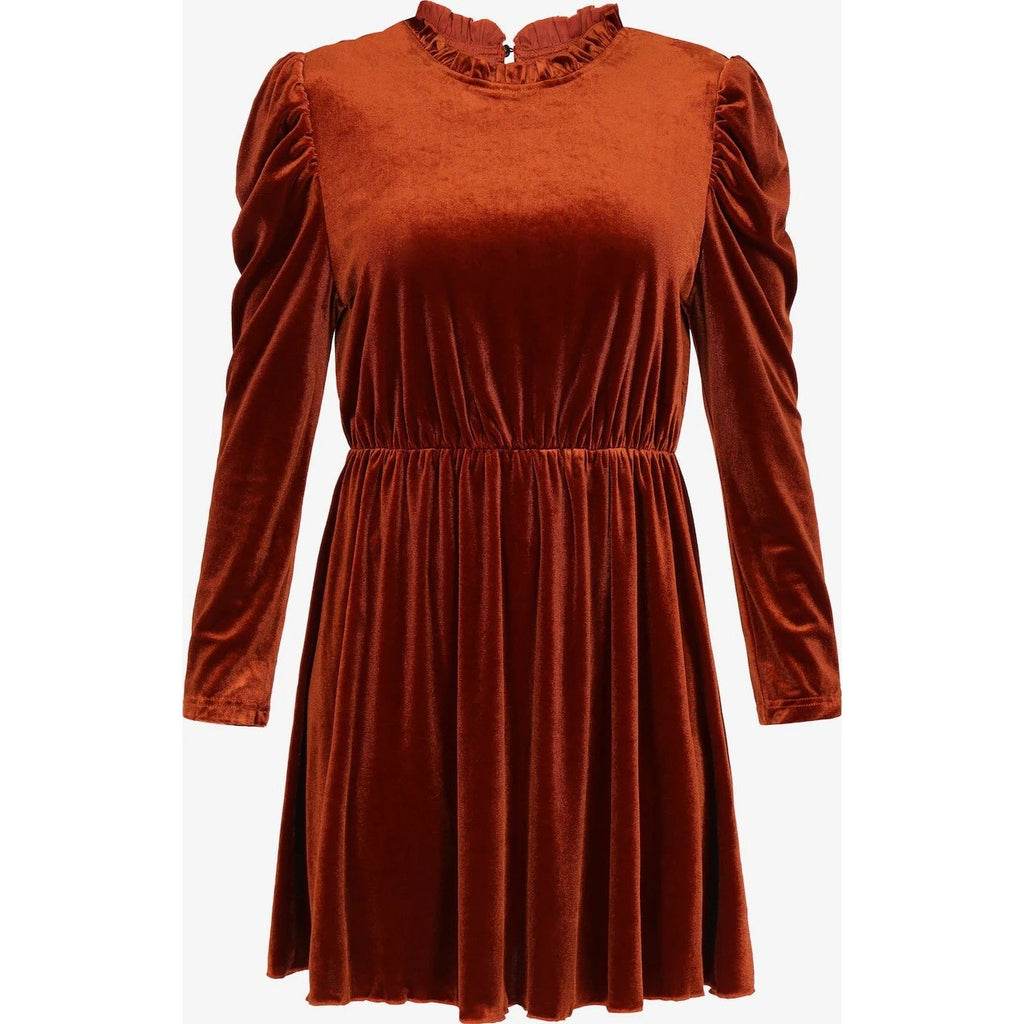 Women's M Chestnut Velvet Mini Dress Long Sleeve Ruffle Neck Pleated Skirt