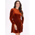 Women's M Chestnut Velvet Mini Dress Long Sleeve Ruffle Neck Pleated Skirt